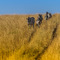 Serengeti NP